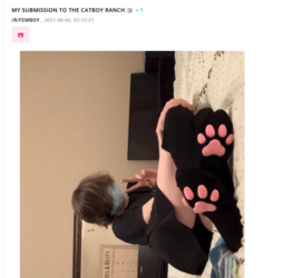 1657415524094.png