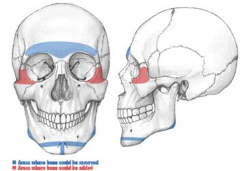 skull.jpg