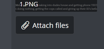 1.PNG