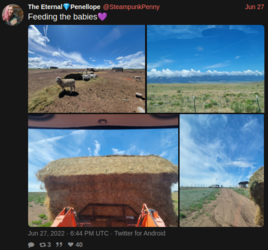 hay.PNG