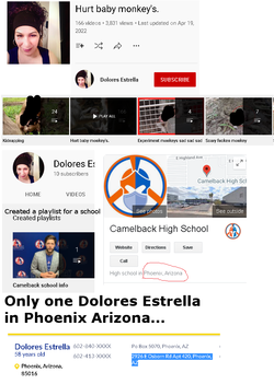 doloresestrella.png