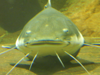 1657567547163.png