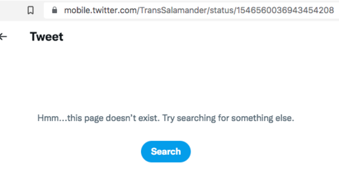 Screen Shot 2022-07-12 at 00.55.46.png