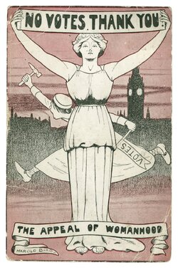No-Votes-Thank-You-The-Appeal-of-Womanhood-postcard-1912.jpg