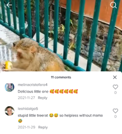 Screenshot_20220712-014245.png