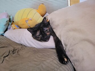 20220712_145514.jpg