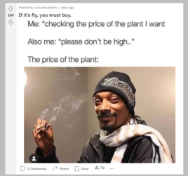 1657656161697.png
