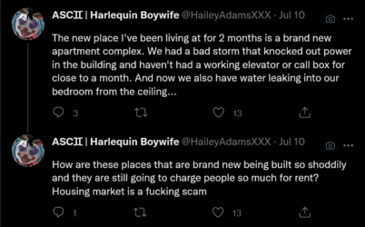 Screenshot 2022-07-12 at 23-13-05 Tweets with replies by ASC♊︎ Harlequin Boywife (@HaileyAdams...png