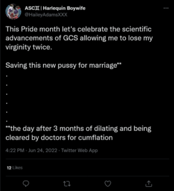 Screenshot 2022-07-12 at 23-15-15 ASC♊︎ Harlequin Boywife on Twitter.png