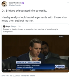 1657688206474.png