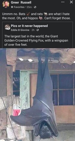 Screenshot_20220713-135408_Facebook.jpg