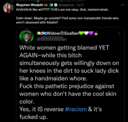 TERfs are fucked up.PNG