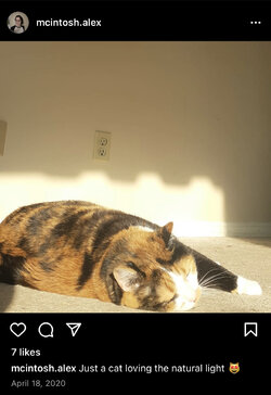 B65B600F-AEA6-48A8-94AD-C81FA435B18D.jpeg