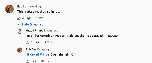 bob cat 1.png