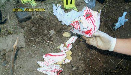 Cassie-Jo-Stodart-Murder-Evidence-Masks-750x430-99469543.png