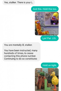 15.png