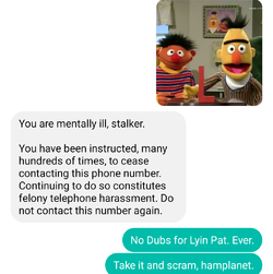 13.png