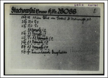 Malaria Card.jpg