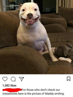 1658022636341.png