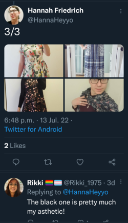 Fashion tips 3.png