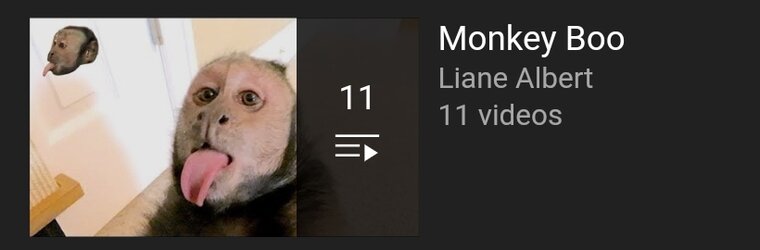 liane playlist4.jpg