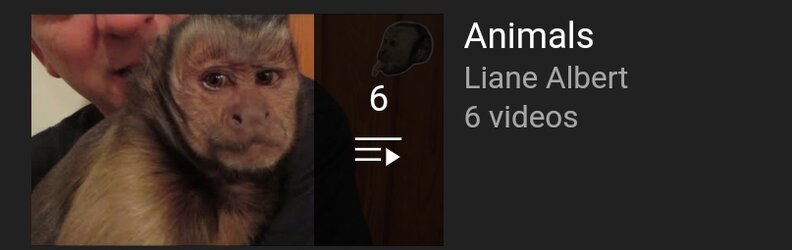 liane playlist5.jpg