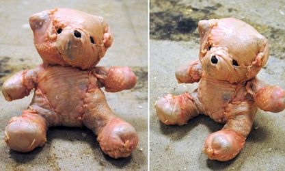 Chicken Teddy Bear.png