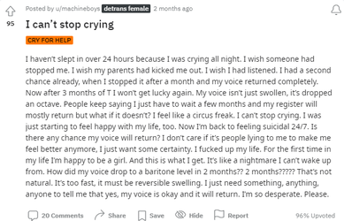 Vocalist-Detrans-2022-05-27.png
