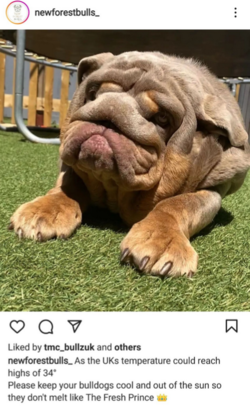 f6.PNG f6.PNG