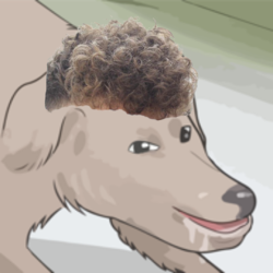 Zoomer_Null.png