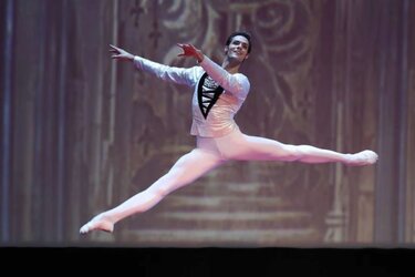 russian swan lake guy.jpg