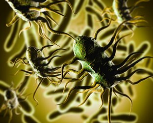 Listeria-scaled.jpg