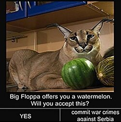1658213670703499.jpg