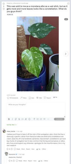 1658253786833.png