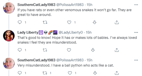 pythoncat.PNG