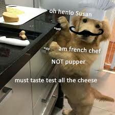 E96335F9-7256-4631-BA0E-F5162EB8D9C5.jpeg