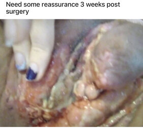 76553B0D-8911-4824-AD3D-27E53E35E1BA.jpeg