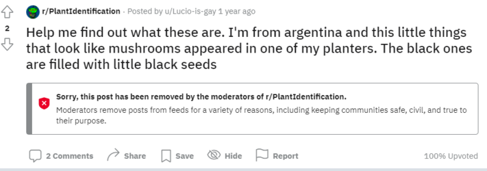 1658373873666.png