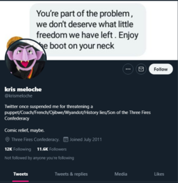 idiot2.png