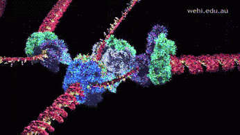 0f77e9b2343a920fad0367883d9513ce.gif