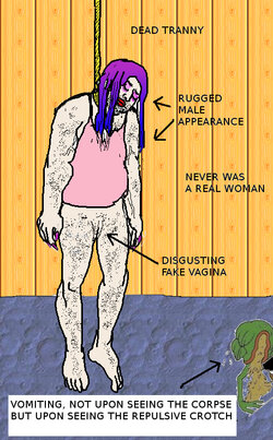 trannies_rekt.jpg