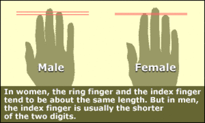 hands-and-health.gif