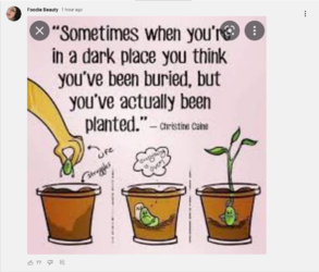 Screenshot 2022-07-23 at 00-32-21 Foodie Beauty - YouTube.png