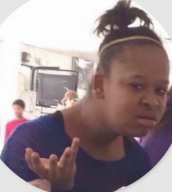 Screenshot 2021-11-04 at 14-30-44 what meme - Google Search.png