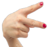 982164182562635796.png