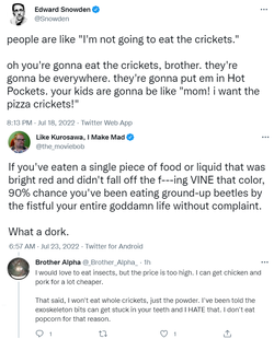 insects.png