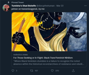 transfeminist nihilism.png