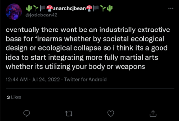 Screenshot 2022-07-24 at 01-09-26 🌵🌱🏴🍄anarchojbean🍄🏴🌱🌵 on Twitter.png