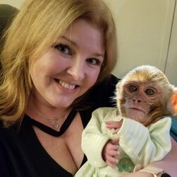Janet Suzanne Sanders monkeybaby2.jpg