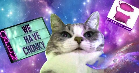 chonkybanner.jpg